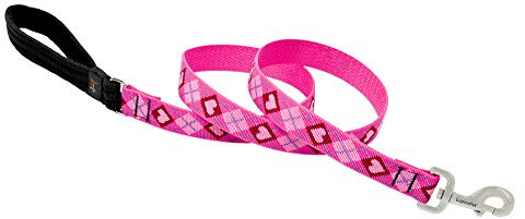 Lupine Puppy Love Patterned Padded Handle Dog Lead, 1-inch/ 4 ft