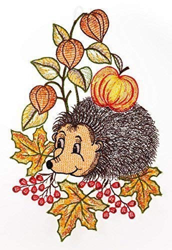 Fensterbild Igel farbig 21 x 32 cm aus Plauener Spitze Fensterdeko Fensterschmuck Bilder Handarbeit Deko Fenster
