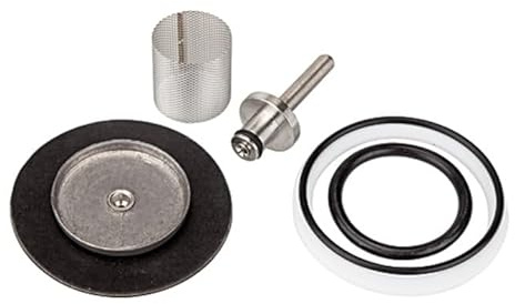 RIEGLER 101203-22.5704.4 Verschleißteilesatz, G 1/4, 1Stk