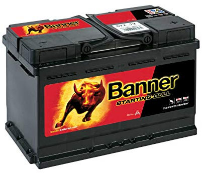 Banner 57212 Beginnend Bull 096 OEM QUALITÄT Akku