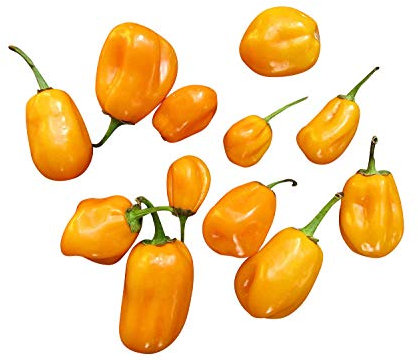 Chili Aji Dulce Amarillo 10 Samen -Leicht Scharf mit dem leckeren Habanero-Aroma-