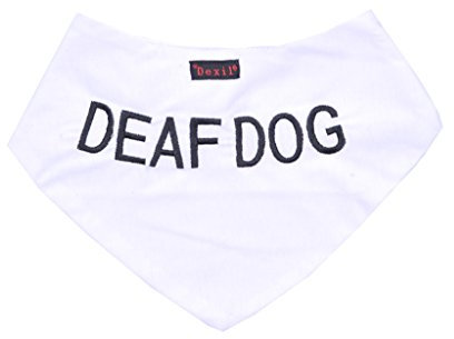 Deaf Dog Hundehalstuch, personalisierbar, bestickt, modisches Accessoire, verhindert Unfälle durch Warnung anderer Hunde im Voraus