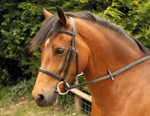 Windsor Equestrian Horses Bridle Brown Cob