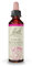 Fleurs de Bach Original, Star of Bethlehem, No 29, pour plus de réconfort, aide à s'apaiser suite à un choc émotionnel. Elixir floral naturel pour le bien-être. Compte-Gouttes 20ml, Vegan