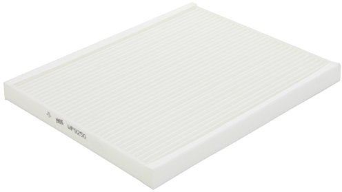 Wix Filters WP9250 Filtro, Aria abitacolo