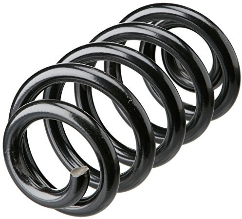 lesjofers 4204251 Coil Spring Rear