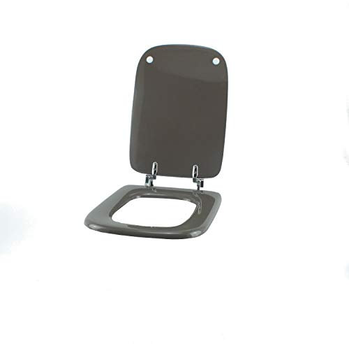 Copriwater Ideal Standard CONCA CASTORO Cerniera Cromo-Sedile-Asse Wc