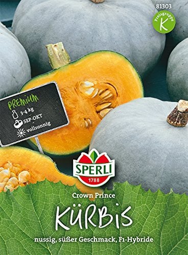 Kürbis, Crown Prince F1