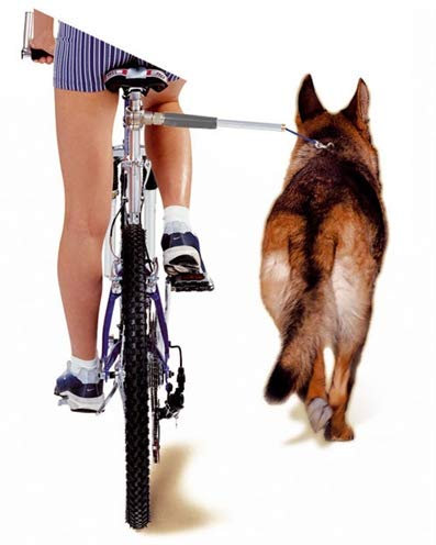 Clip für Fahrrad Walky Dog