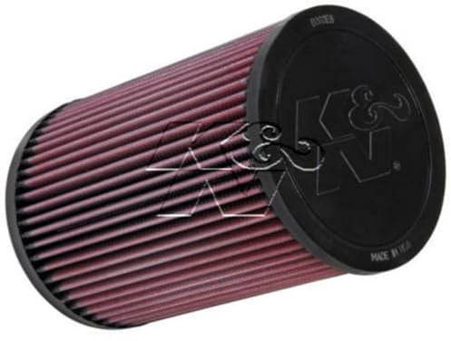 K&N E-2991 Filtri Aria Sostitutivi Auto, Lavabile e Riutilizzabile