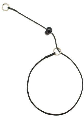 Hunde Design Einwirkhalsung mit Ring