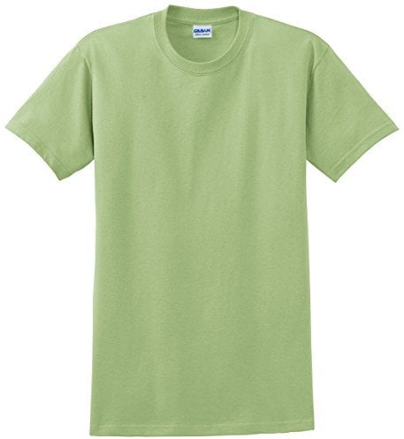 Gildan Mens Ultra Cotton Short Sleeve T-Shirt (2XL) (Pistachio)