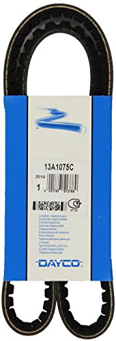 DAYCO 13A1075C Gürtel