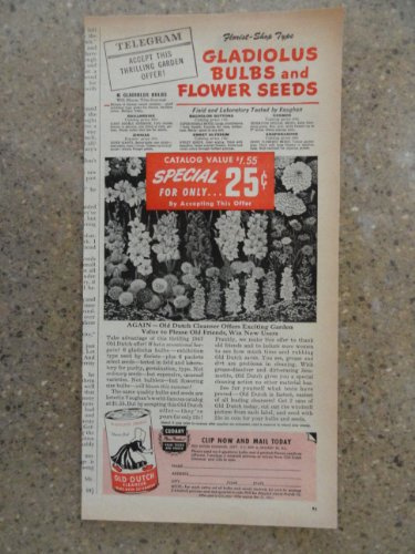 Old Dutch Cleanser, Vintage 40's print ad. color Illustration (gladiolus bulbs)Original vintage 1947 Woman's Day Magazine Print Art.