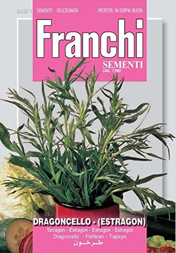 N. 3 BUSTINE SEMI DI DRAGONCELLO