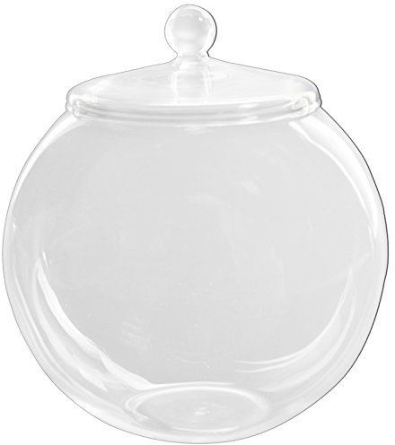 Glas-Terrarium-Behälter, 20 cm, mit Deckel, groß