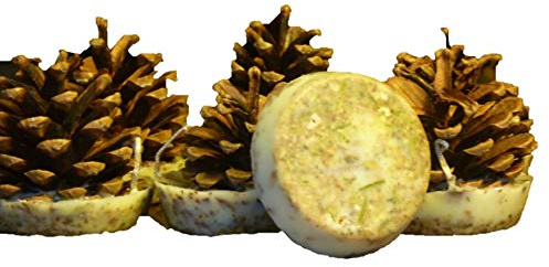 Kindlecone - Natural Pine Cone firelighters - Winter Spice - Box of 12