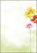 SIGEL DP123 Motiv-Papier Spring Flowers, DIN A4, 90 g/m², 50 Blatt, aus nachhaltigem Papier
