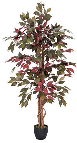 HOMESCAPES Plante artificielle Capensia Rouge & Vert Hauteur 122 cm