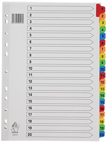 Rexel Mylar 1-20-Register (DIN A4, Verstärkte Taben) weiß
