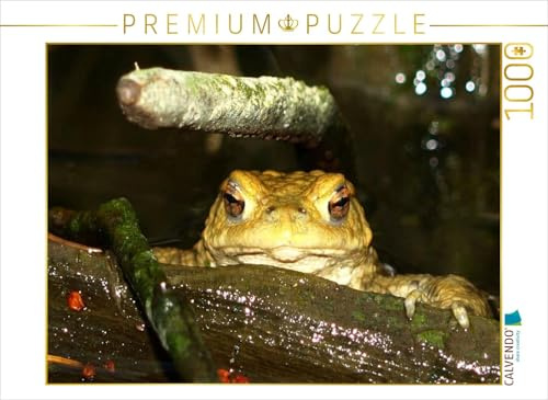 CALVENDO Puzzle Erdkröte | 1000 Teile Lege-Größe 64 x 48 cm Foto-Puzzle für glückliche Stunden