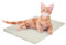 SELF HEATING THERMAL PET DOG CAT PUPPY PAD BED RUG WASHABLE MAT WARM (Large 90x64cm)