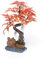 Penn-Plax Dekoelement für Aquarien, Bonsai-Baum, 20 cm, rot