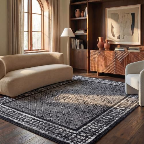 SAFAVIEH Adirondack Collection Area Rug - 6' x 9', Black & Silver, Distressed Design, Non-Shedding & Easy Care, Ideal for High Traffic Areas in Living Room, Bedroom (ADR110A)