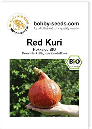 Red Kuri BIO Kürbissamen von Bobby-Seeds Portion