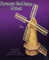 Matchcraft HOLLÄNDISCHE WINDMÜHLE Matchstreichholzmodell-Baukasten -