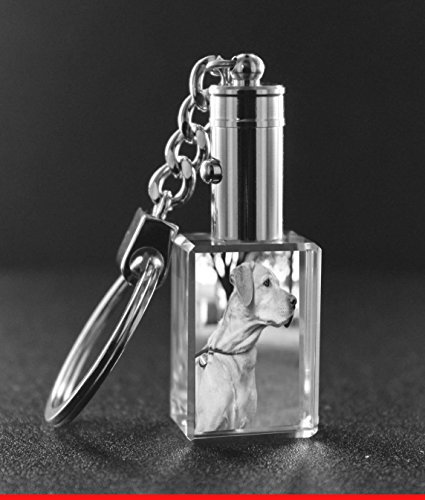 VIP-LASER 2D Gravur Glas Kristall Schlüsselanhänger mit LED-Beleuchtung Hochformat mit Hund, Hundefoto. Dein Wunschfoto für die Ewigkeit Mitten in Glas! LED = Weiss