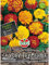 Tagetes Studentenblume Sparki Mischung