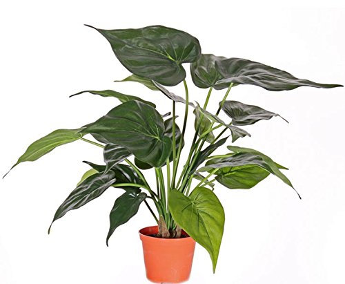 Pfeilblatt Alokasie Kunstpflanze mit 24 Blätter im Topf Höhe 50cm - Künstliche Alocasia Pflanze grün
