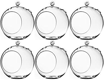 größten Jumbo Größe Glas Globe Terrarium. 22,9 cm hoch.