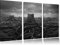 Pixxprint Gerodeter Wald, Leinwandbild 3 Teilig, Gesamtmaß: 120x80cm, Wandbild, Dekoration, fertig gespannt, Kein Poster