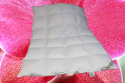Betten Hofmann Luxus Daunenbett Daunendecke 135x220 cm 4x6 Karo warme Gansjahresdecke