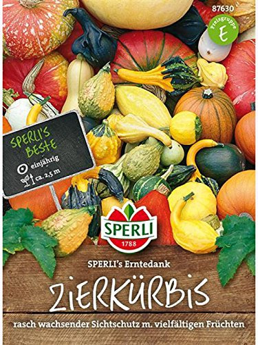 Zierkürbis, Groß- und kleinfrüchtige Mischung, Erntedank