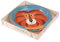 8 assiettes en carton Animaux