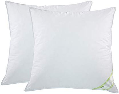 franknatur - 2X Kopfkissen 100% Gänse-Federn Klasse 1 Kissen 80x80 Claudia