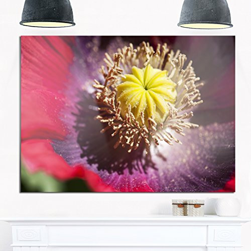 Designart Colorful Opium Poppy Foto Blumen Glänzendes Metall Wandkunst 71 x 30 cm, 71 x 30 cm, Rot