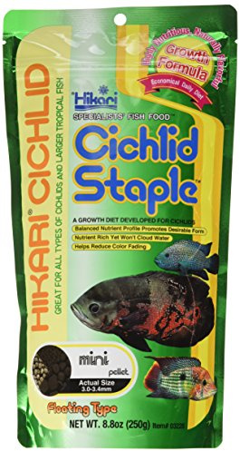 HIKARI Cichlid Staple Mini [Sng] 250g