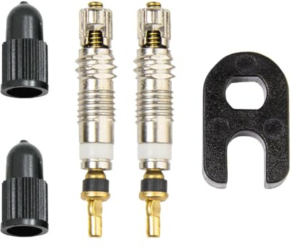 Weldtite Valve Core and Caps Kit (For Presta Valves), 5028,Black/Silver