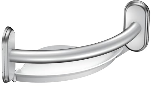 MOEN LR2354DCH CSI GRAB BAR