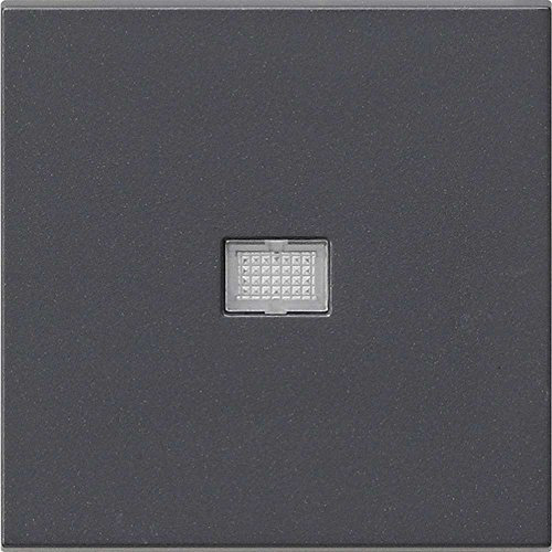 GIRA Wippe Anth 029828