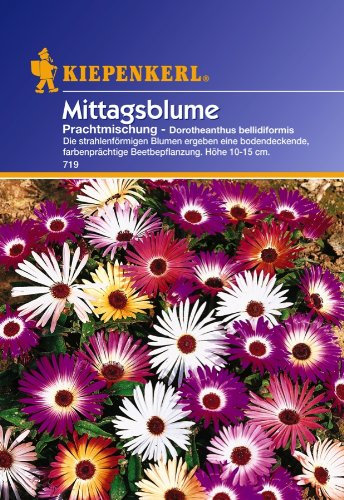 Sperli Blumensamen Mittagsblumen Dorotheantus Mischung, grün