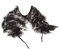 Reissner Lammfelle Boa Schal Stola aus Tibetlammfell Farbe schwarz (tops) JYB14 Boa-140