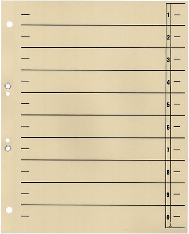 Trennblätter A4. geöst chamois A4 230g 100 St