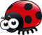 U24 Aufkleber lustiger Marienkäfer Autoaufkleber 11 x 10 cm Sticker
