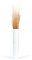 Leewadee Jarrón Grande De Suelo – Jarrón Alto De Madera De Mango para Ramas Decorativas, 70 cm, Blanco