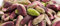 A RICCHIGIA-PISTACCHIO SGUSCIATO BRONTE D.O.P. CONFEZIONE DA 1 KG.